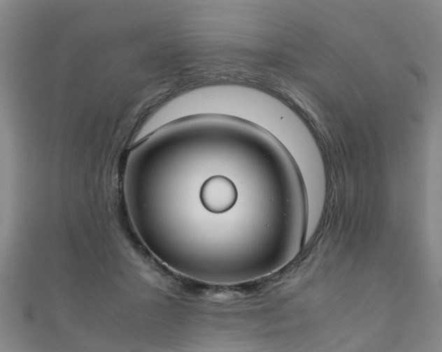 X0000111350407200907171147