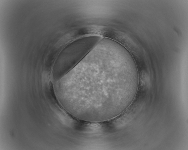 X0000111350409200907171147