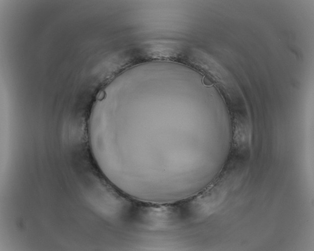 X0000111350411200907171147