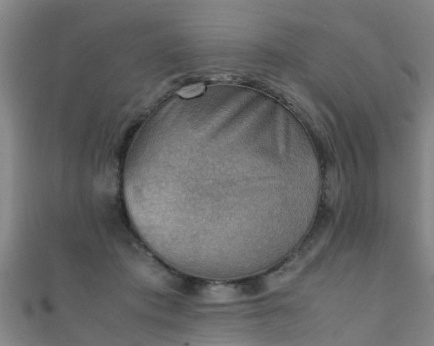 X0000111350413200907171147