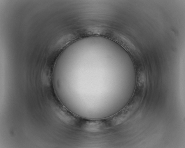 X0000111350414200907171147