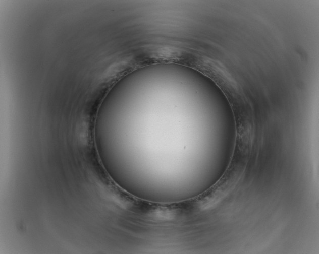 X0000111350416200907171147