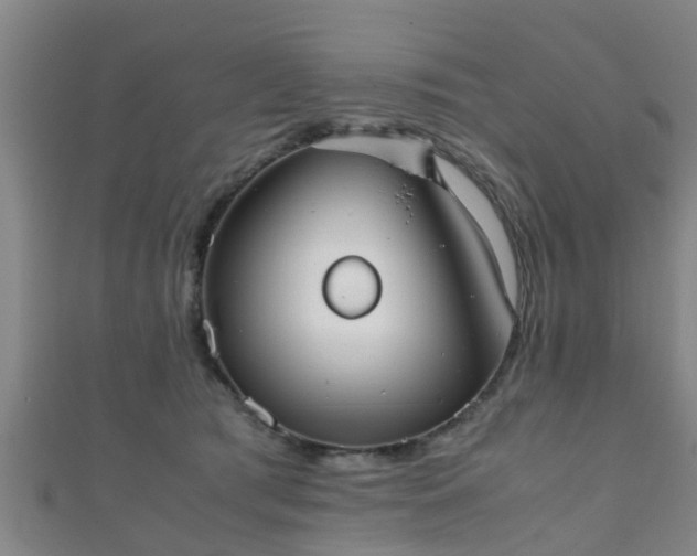 X0000111350417200907171147