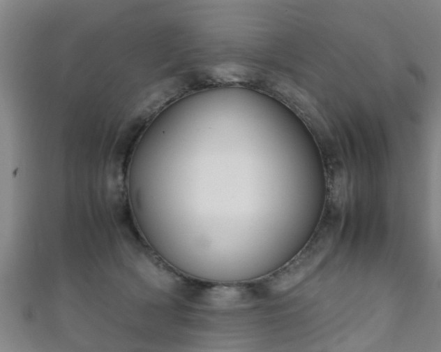 X0000111350418200907171147