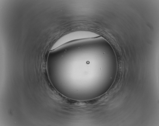 X0000111350419200907171147