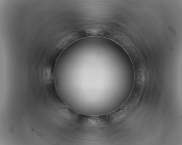 X0000111350420200907171147