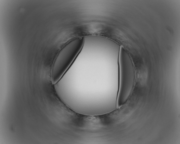 X0000111350421200907171147