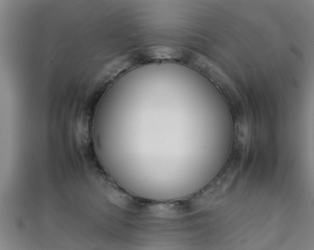 X0000111350422200907171147