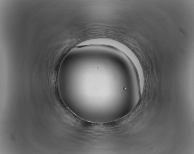 X0000111350423200907171147