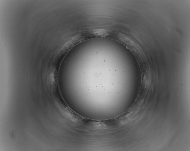 X0000111350424200907171147