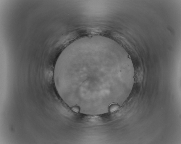 X0000111350427200907171147