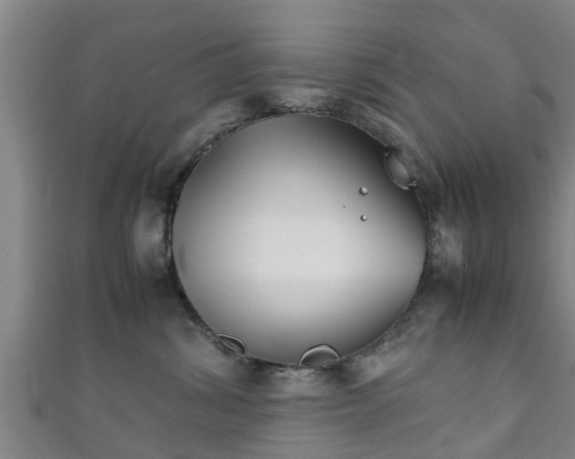 X0000111350428200907171147