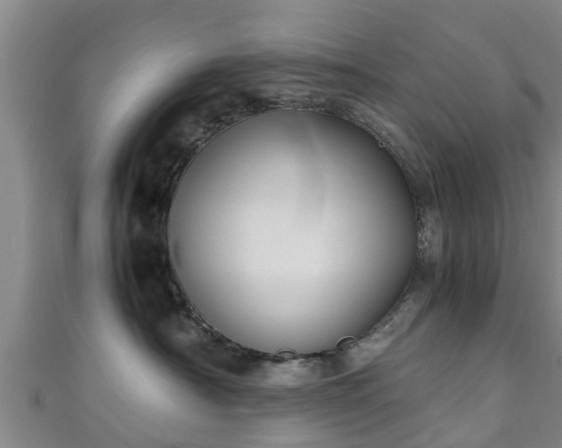 X0000111350430200907171147