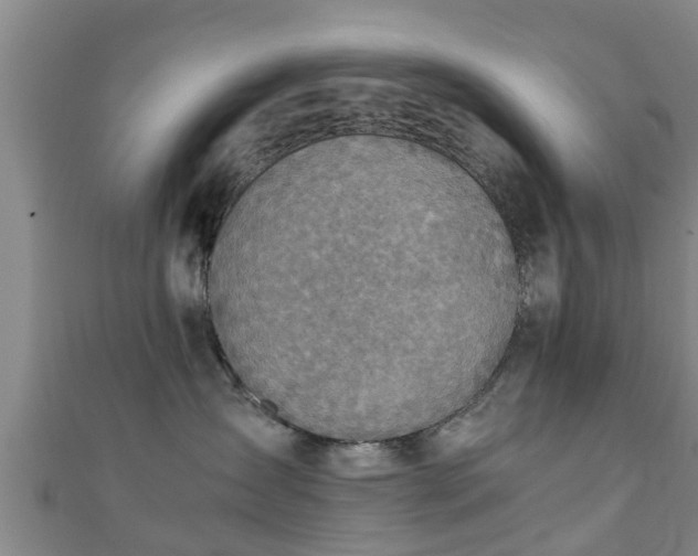 X0000111350431200907171147