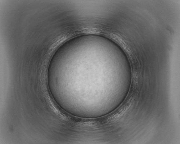 X0000111350433200907171146