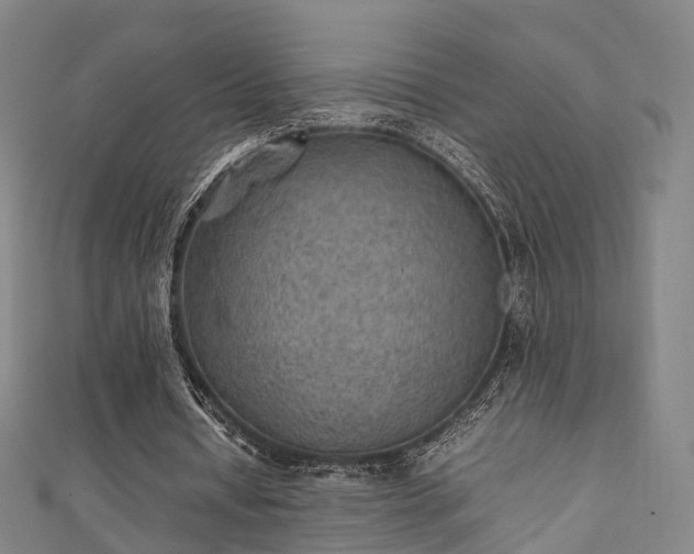 X0000111350434200907171146