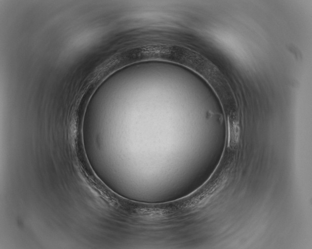 X0000111350435200907171146