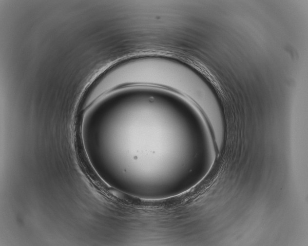 X0000111350436200907171146