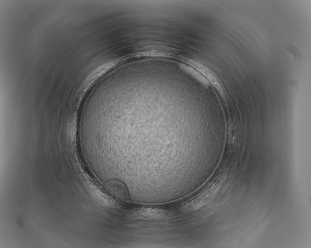 X0000111350437200907171146