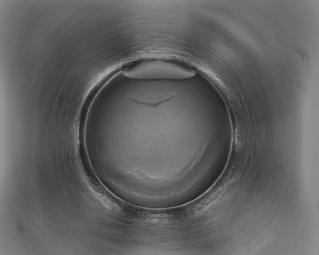 X0000111350438200907171146