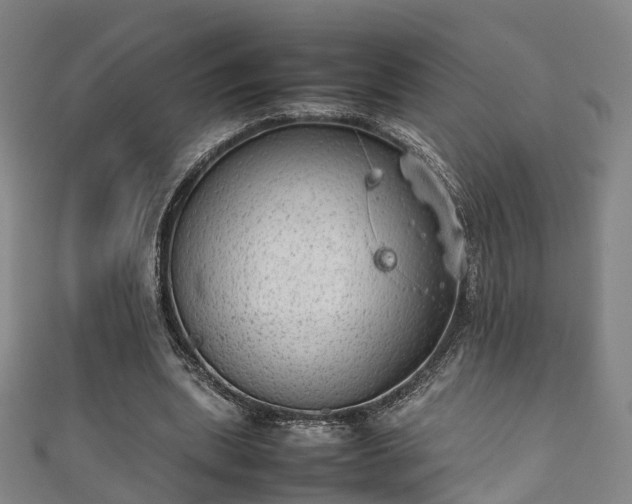 X0000111350439200907171146