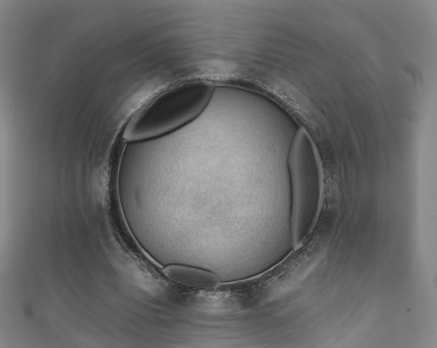 X0000111350440200907171146