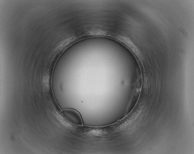 X0000111350441200907171146