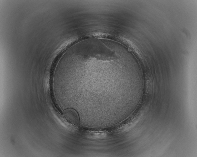 X0000111350443200907171146