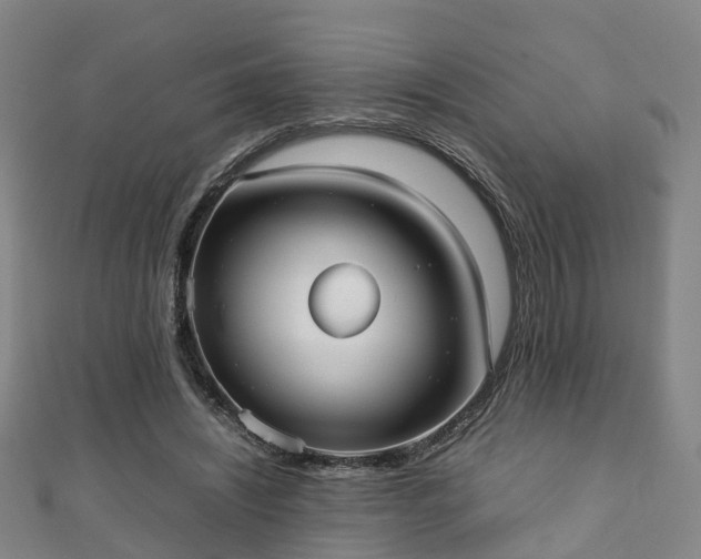 X0000111350444200907171146