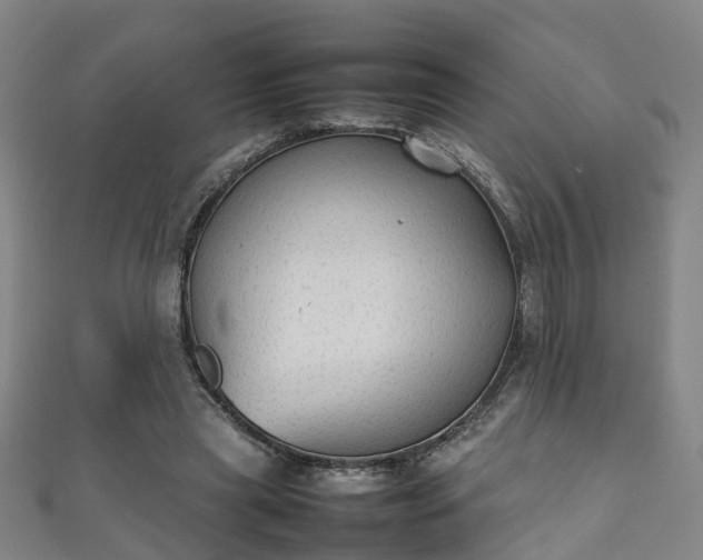 X0000111350445200907171146