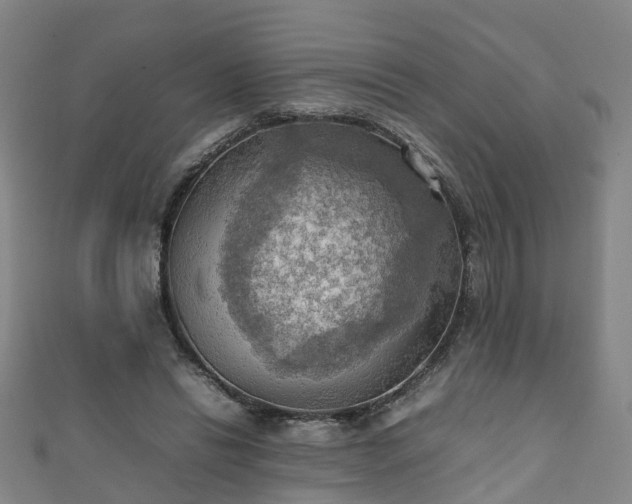 X0000111350446200907171146