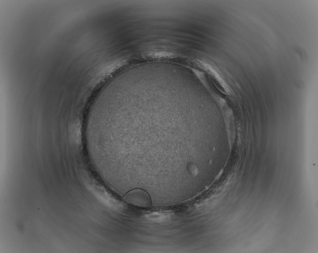 X0000111350447200907171146