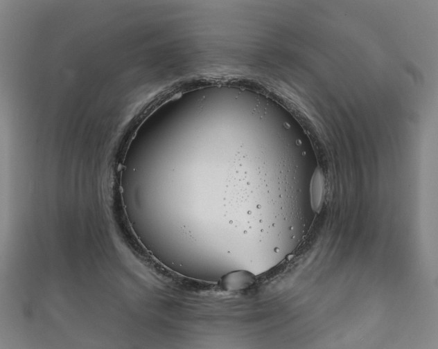 X0000111350448200907171146