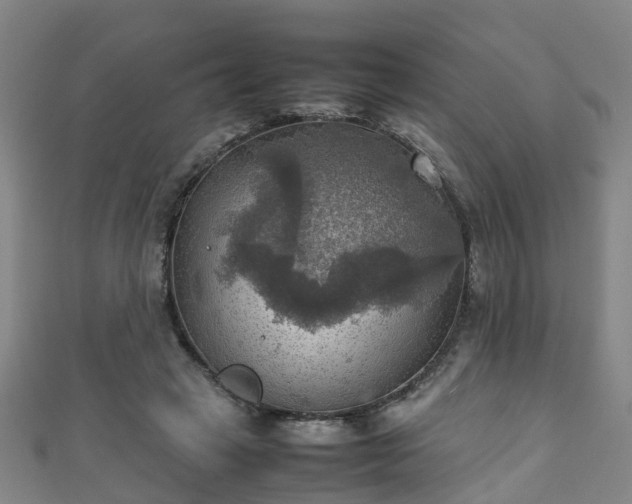 X0000111350449200907171146