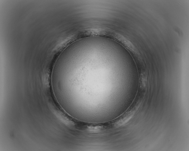 X0000111350450200907171146