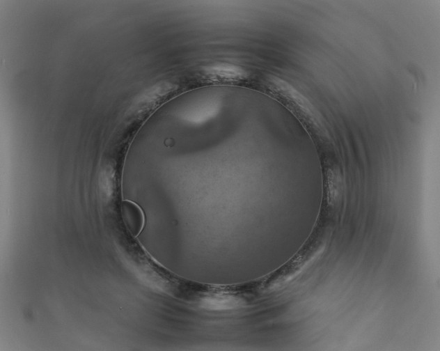 X0000111350451200907171146