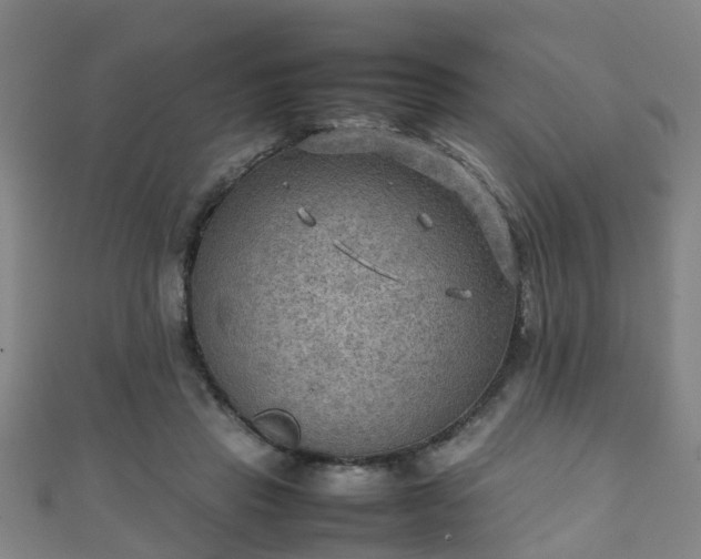 X0000111350453200907171146