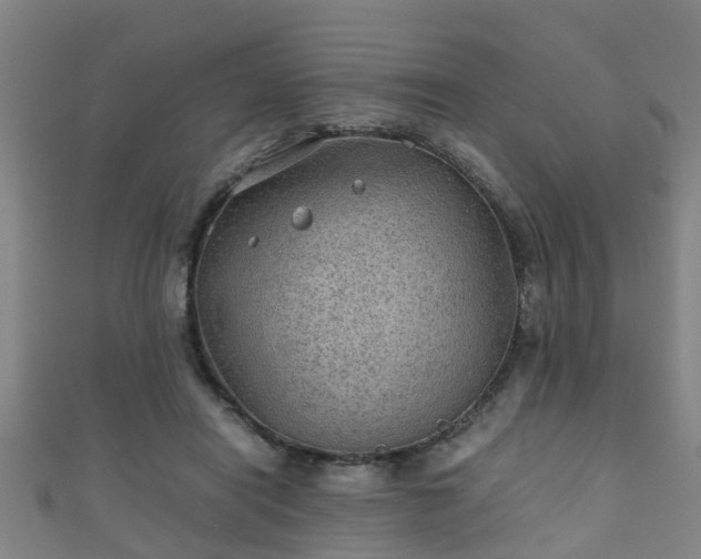 X0000111350454200907171146