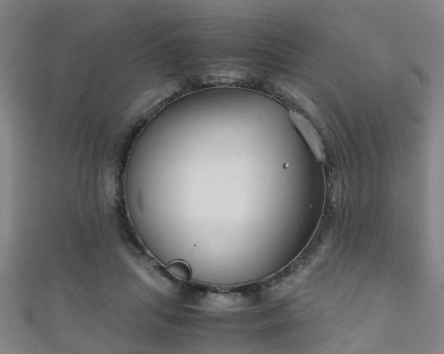 X0000111350455200907171146