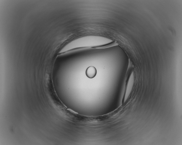 X0000111350456200907171146