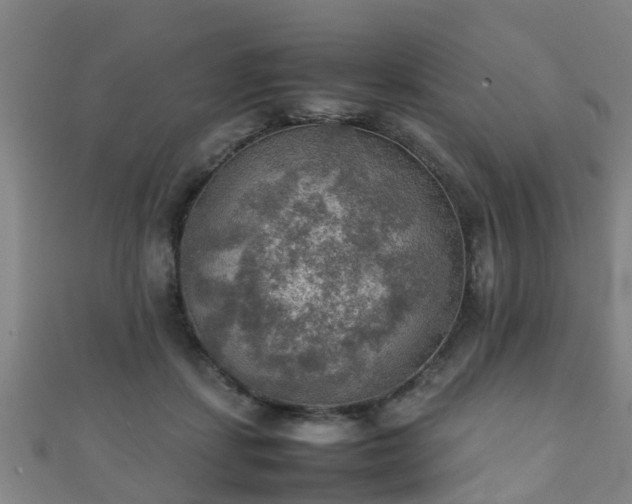 X0000111350459200907171146