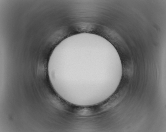 X0000111350460200907171146