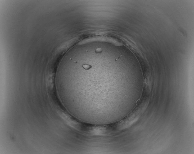 X0000111350462200907171146