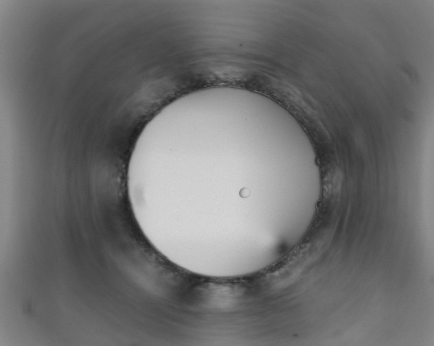 X0000111350464200907171146