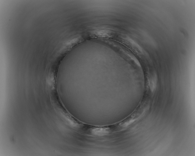 X0000111350465200907171146