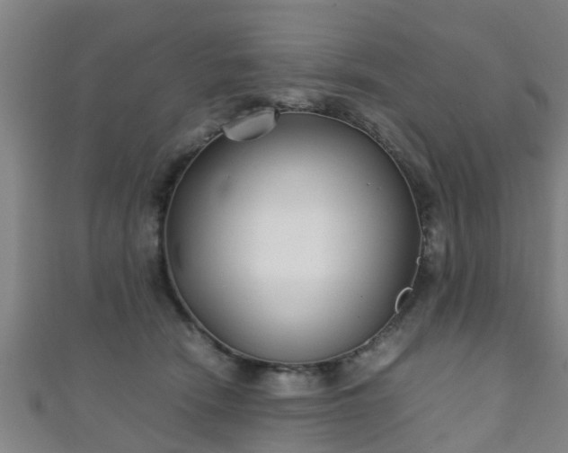 X0000111350466200907171146