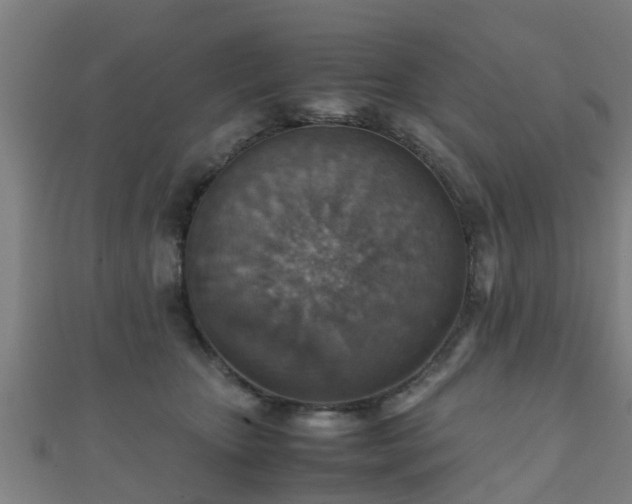 X0000111350467200907171146