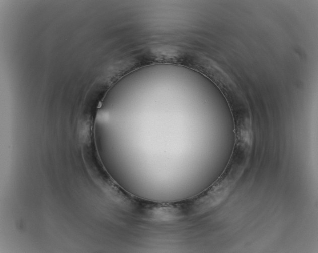 X0000111350468200907171146