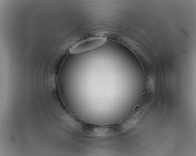 X0000111350470200907171146