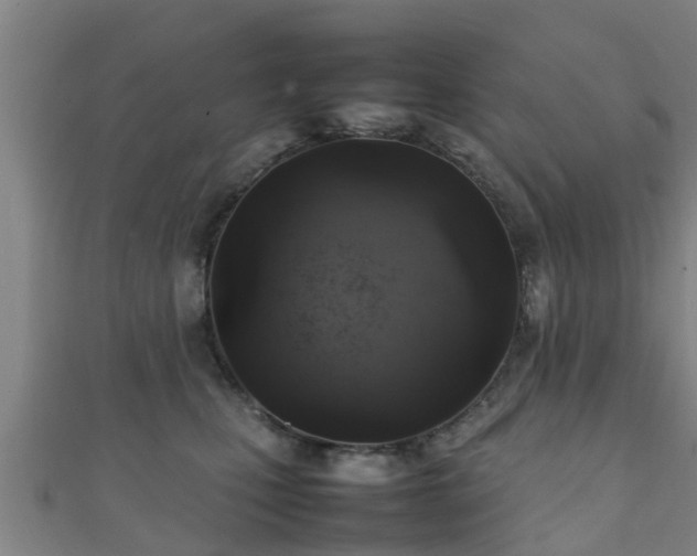 X0000111350471200907171146